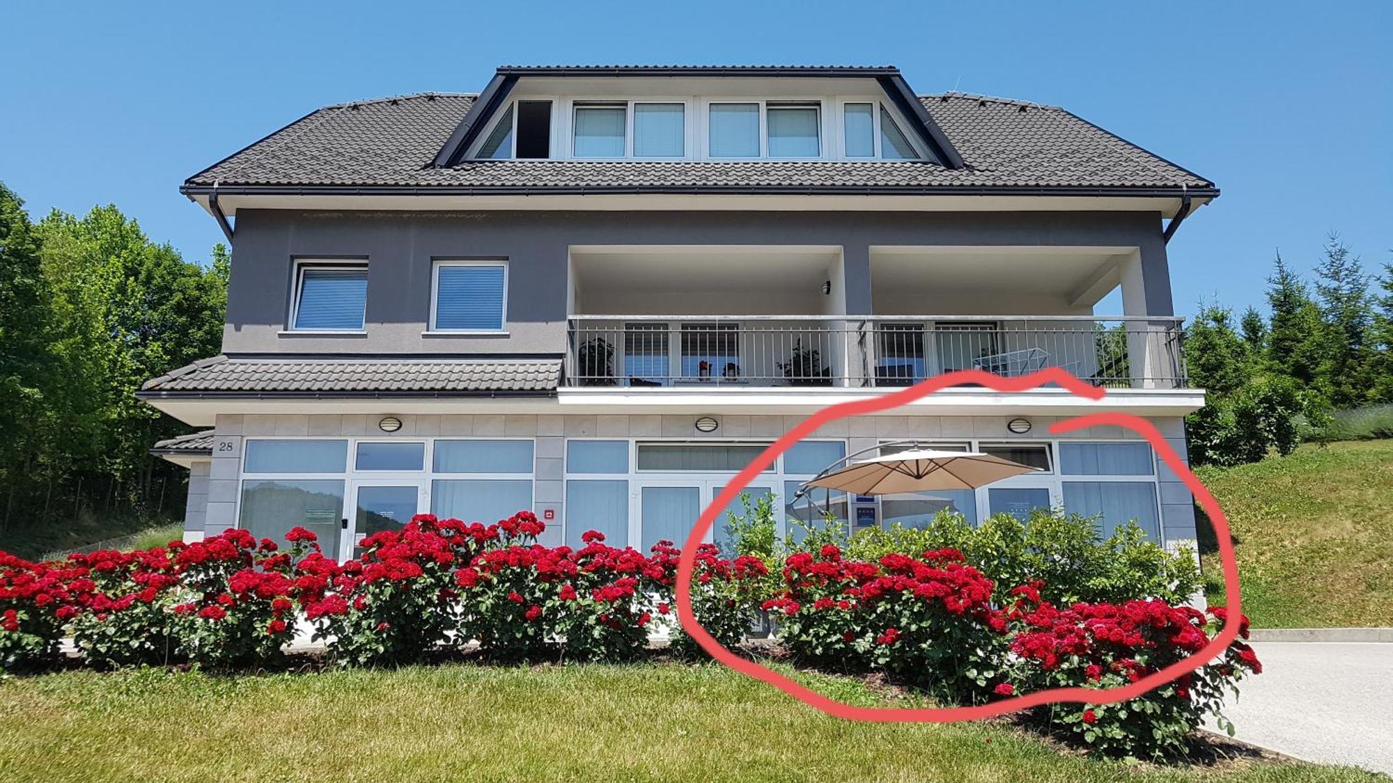Apartmani Sanja Krapinske Toplice Δωμάτιο φωτογραφία