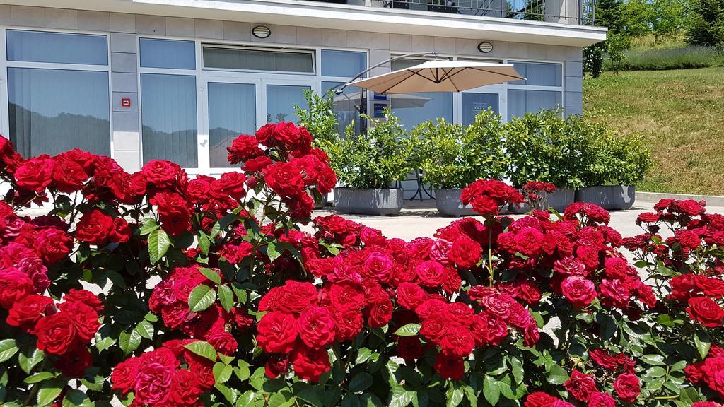 Apartmani Sanja Krapinske Toplice Εξωτερικό φωτογραφία